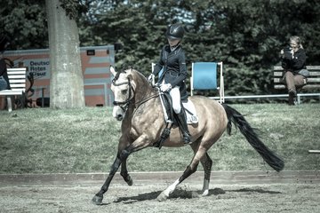 Bild 416 - Pony Akademie Turnier